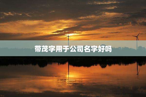 带茂字用于公司名字好吗