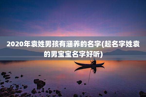 2020年袁姓男孩有涵养的名字(起名字姓袁的男宝宝名字好听)