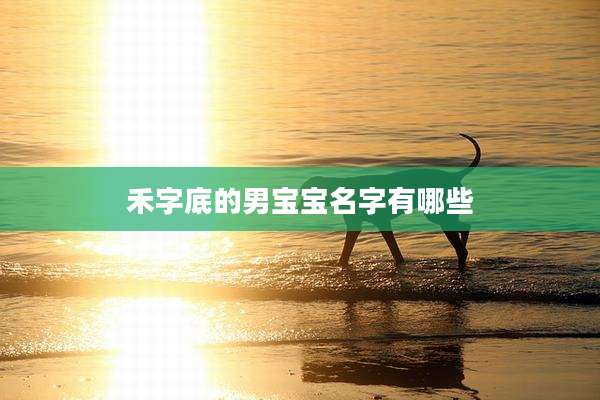禾字底的男宝宝名字有哪些