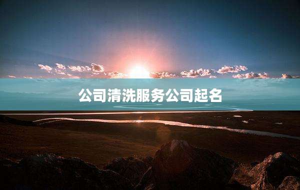 公司清洗服务公司起名