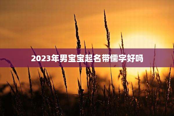2023年男宝宝起名带儒字好吗