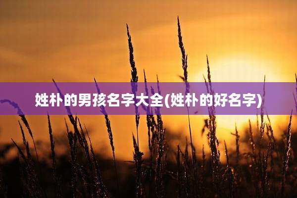 姓朴的男孩名字大全(姓朴的好名字)