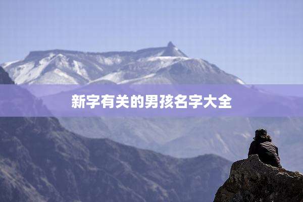 新字有关的男孩名字大全