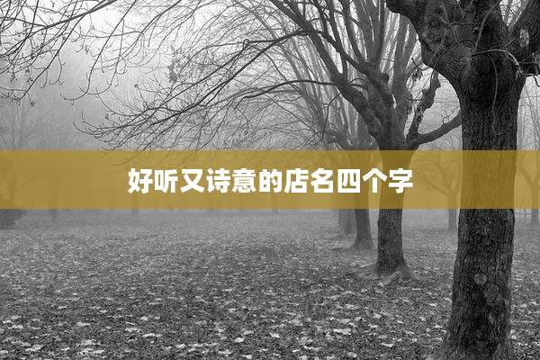 好听又诗意的店名四个字