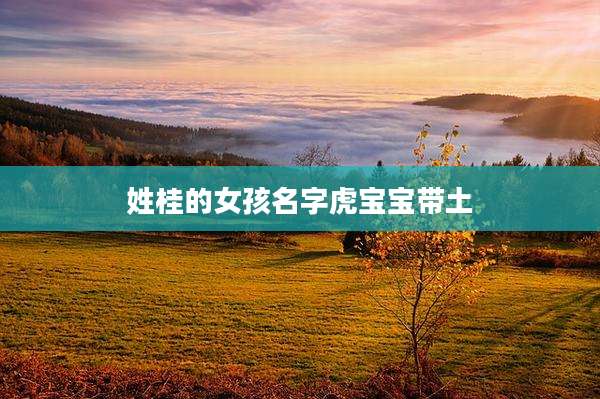 姓桂的女孩名字虎宝宝带土
