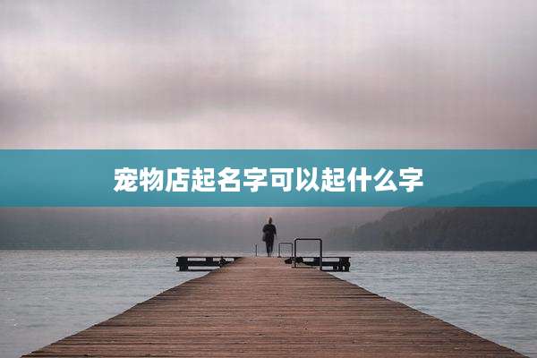 宠物店起名字可以起什么字