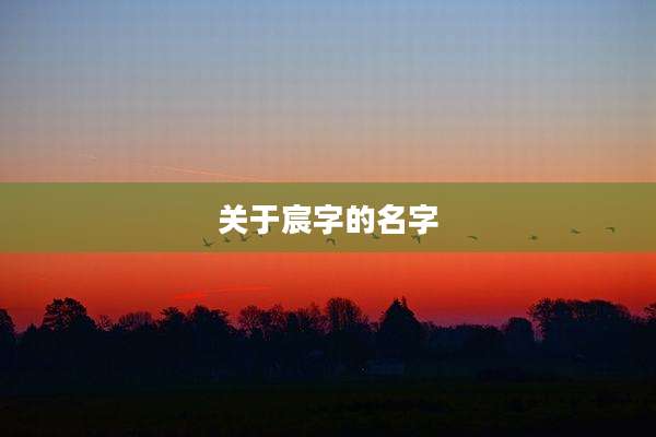 关于宸字的名字