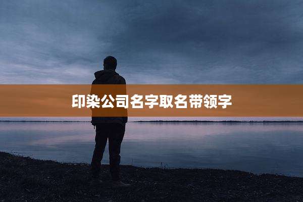 印染公司名字取名带领字