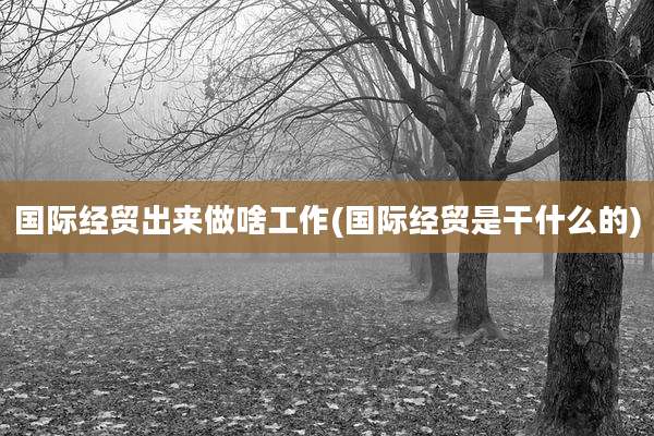 国际经贸出来做啥工作(国际经贸是干什么的)