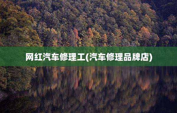 网红汽车修理工(汽车修理品牌店)