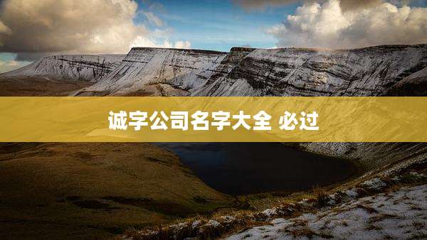诚字公司名字大全 必过