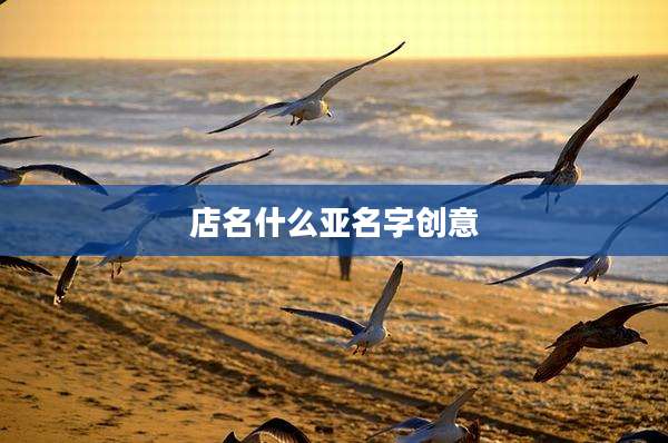 店名什么亚名字创意