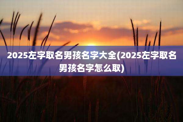 2025左字取名男孩名字大全(2025左字取名男孩名字怎么取)