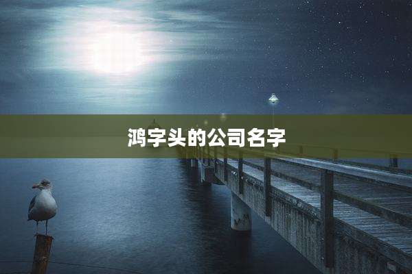 鸿字头的公司名字