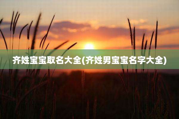 齐姓宝宝取名大全(齐姓男宝宝名字大全)