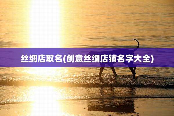 丝绸店取名(创意丝绸店铺名字大全)