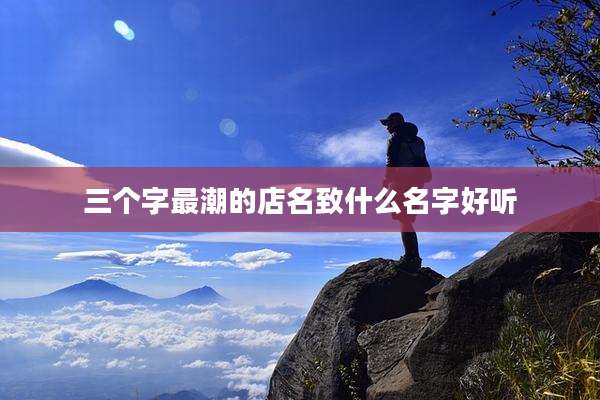 三个字最潮的店名致什么名字好听