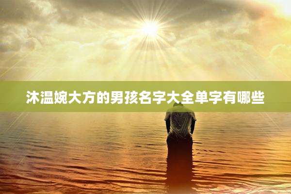沐温婉大方的男孩名字大全单字有哪些
