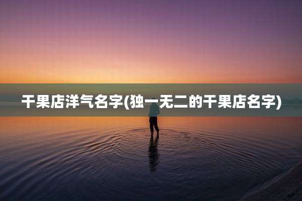 干果店洋气名字(独一无二的干果店名字)