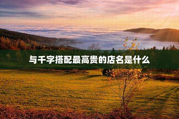 与千字搭配最高贵的店名是什么