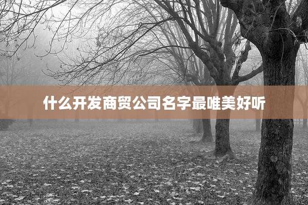 什么开发商贸公司名字最唯美好听