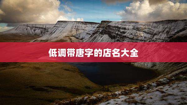 低调带唐字的店名大全