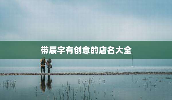 带辰字有创意的店名大全