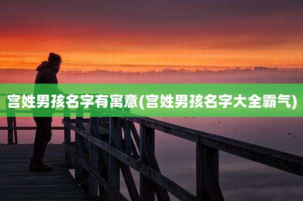 宫姓男孩名字有寓意(宫姓男孩名字大全霸气)