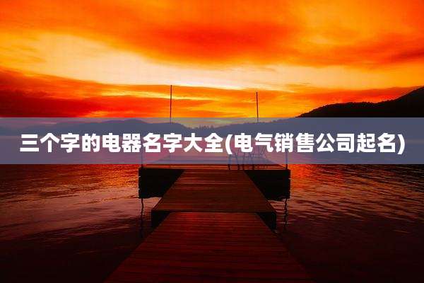 三个字的电器名字大全(电气销售公司起名)