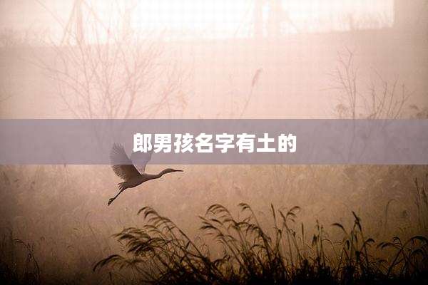 郎男孩名字有土的
