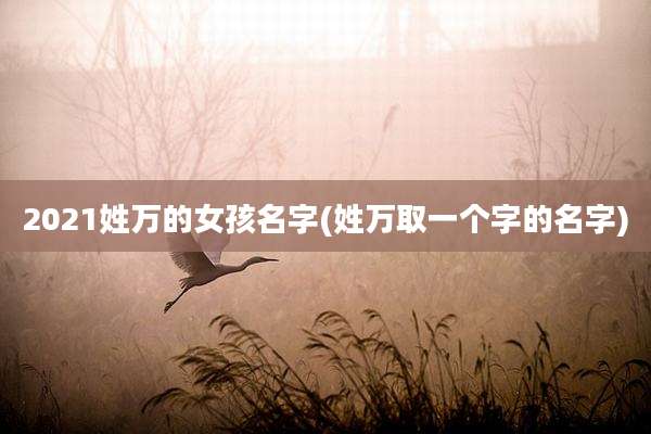 2021姓万的女孩名字(姓万取一个字的名字)