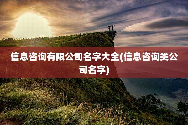 信息咨询有限公司名字大全(信息咨询类公司名字)