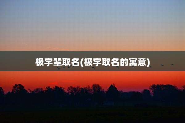 极字辈取名(极字取名的寓意)