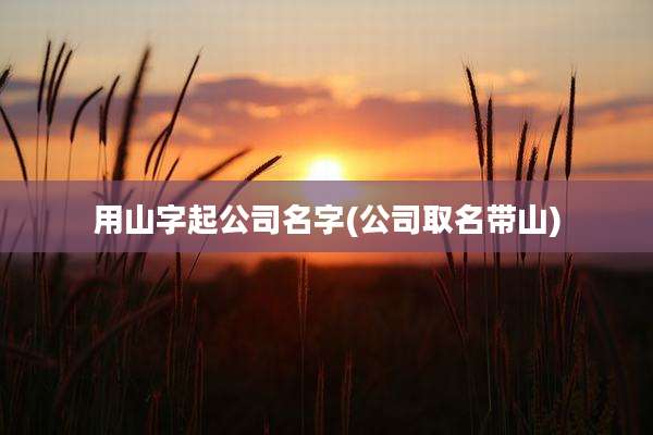用山字起公司名字(公司取名带山)
