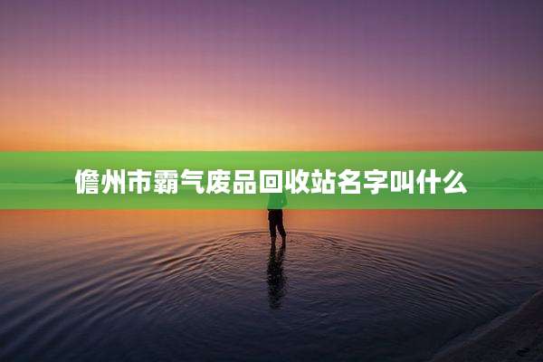 儋州市霸气废品回收站名字叫什么