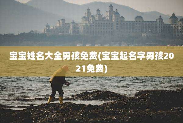 宝宝姓名大全男孩免费(宝宝起名字男孩2021免费)