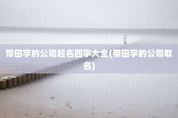 带田字的公司起名四字大全(带田字的公司取名)