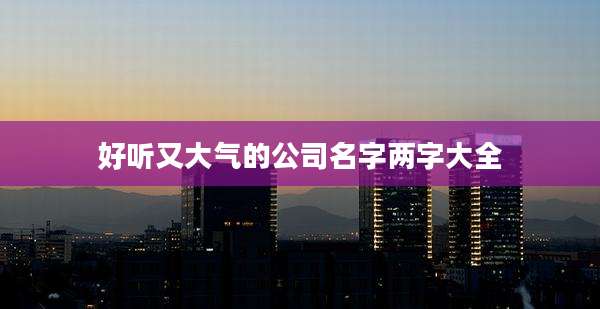 好听又大气的公司名字两字大全
