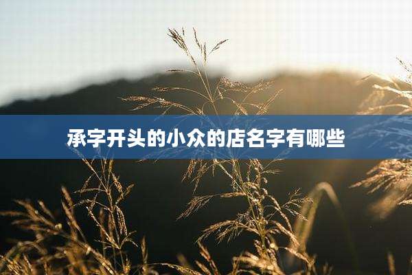 承字开头的小众的店名字有哪些