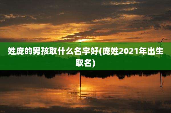 姓庞的男孩取什么名字好(庞姓2021年出生取名)