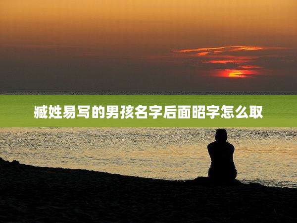 臧姓易写的男孩名字后面昭字怎么取