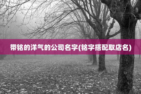 带铭的洋气的公司名字(铭字搭配取店名)