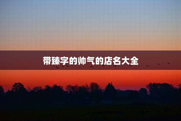 带臻字的帅气的店名大全