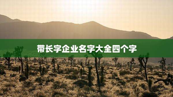 带长字企业名字大全四个字