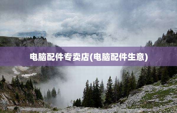 电脑配件专卖店(电脑配件生意)
