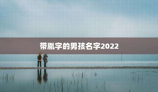 带胤字的男孩名字2022