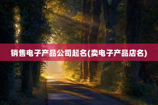 销售电子产品公司起名(卖电子产品店名)