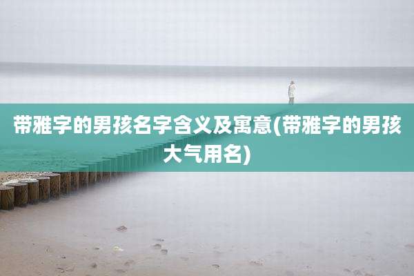 带雅字的男孩名字含义及寓意(带雅字的男孩大气用名)