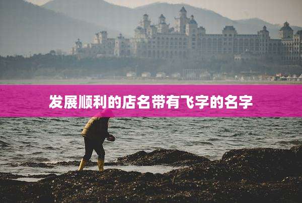 发展顺利的店名带有飞字的名字
