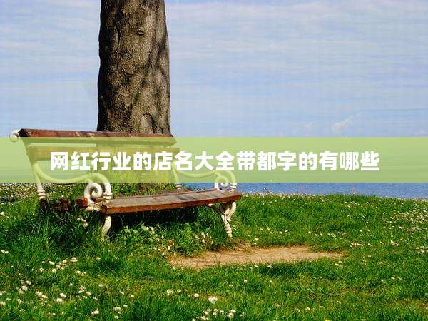 网红行业的店名大全带都字的有哪些
